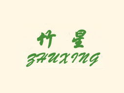 泰兴市竹星食品厂代理商林娜的北京东城区代理意向与广告设计方案